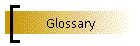 Glossary