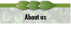 About_us