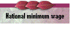 National minimum wage levels